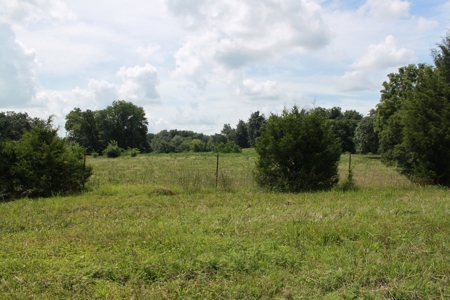 Prime Multi-Use Development Land near Bowling Green, KY - image 3