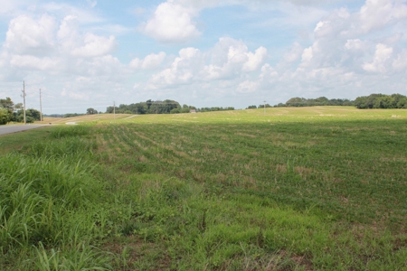 Prime Multi-Use Development Land near Bowling Green, KY - image 1