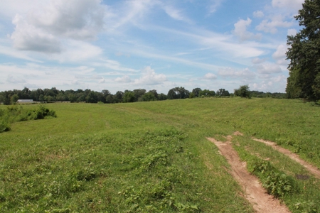 Prime Multi-Use Development Land near Bowling Green, KY - image 9