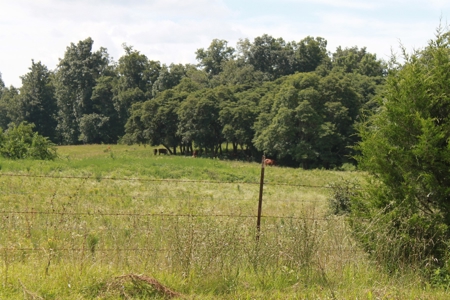 Prime Multi-Use Development Land near Bowling Green, KY - image 6