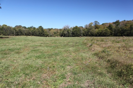 Prime Multi-Use Development Land near Bowling Green, KY - image 19