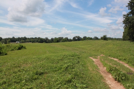 Prime Multi-Use Development Land near Bowling Green, KY - image 7