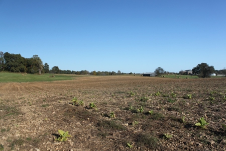 Prime Multi-Use Development Land near Bowling Green, KY - image 29
