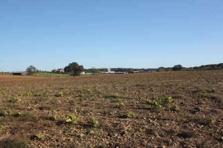Prime Multi-Use Development Land near Bowling Green, KY - image 28