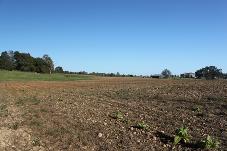 Prime Multi-Use Development Land near Bowling Green, KY - image 27