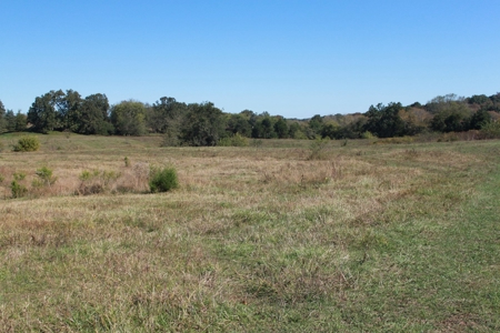 Prime Multi-Use Development Land near Bowling Green, KY - image 13