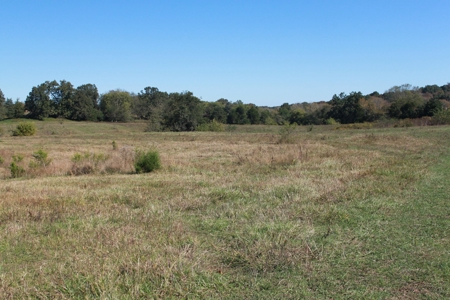 Prime Multi-Use Development Land near Bowling Green, KY - image 12