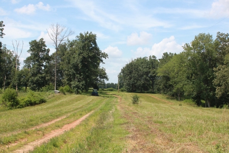Prime Multi-Use Development Land near Bowling Green, KY - image 5