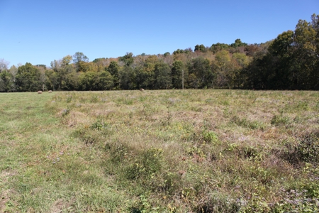Prime Multi-Use Development Land near Bowling Green, KY - image 18