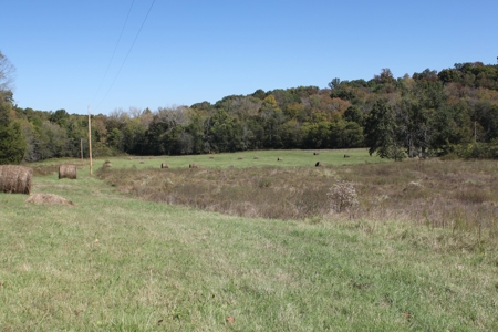 Prime Multi-Use Development Land near Bowling Green, KY - image 15