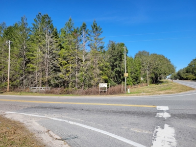 6.5 Acres Between Newberry & High Springs On Us Hwy 41 - image 1