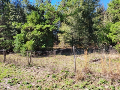6.5 Acres Between Newberry & High Springs On Us Hwy 41 - image 11