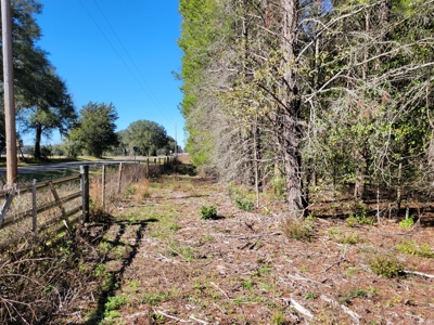6.5 Acres Between Newberry & High Springs On Us Hwy 41 - image 4