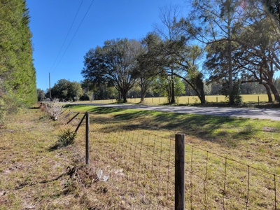 6.5 Acres Between Newberry & High Springs On Us Hwy 41 - image 7