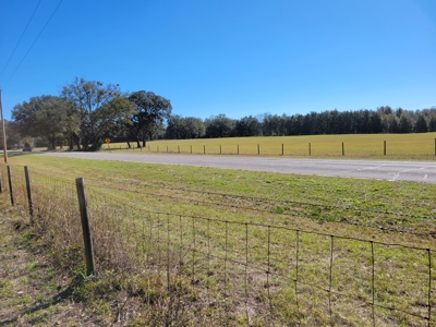 6.5 Acres Between Newberry & High Springs On Us Hwy 41 - image 8