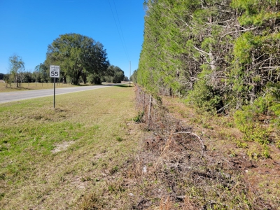 6.5 Acres Between Newberry & High Springs On Us Hwy 41 - image 6