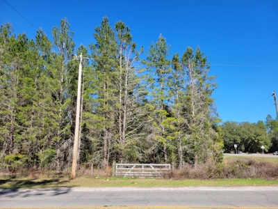 6.5 Acres Between Newberry & High Springs On Us Hwy 41 - image 2