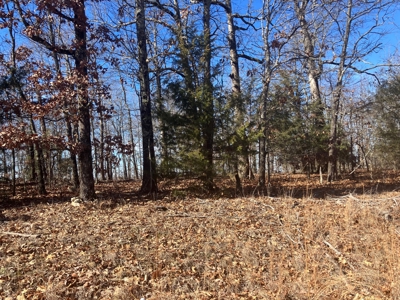 Ozarks Recreational/Hunting Acreage In Sharp County - image 5