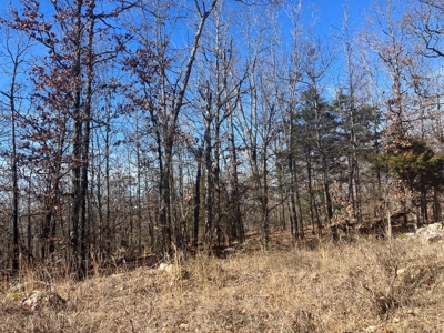 Ozarks Recreational/Hunting Acreage In Sharp County - image 2