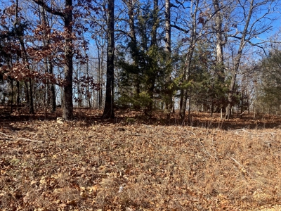 Ozarks Recreational/Hunting Acreage In Sharp County - image 3