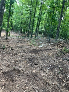 Ozarks Recreational/Hunting Acreage In Sharp County - image 12