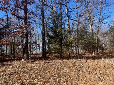 Ozarks Recreational/Hunting Acreage In Sharp County - image 4