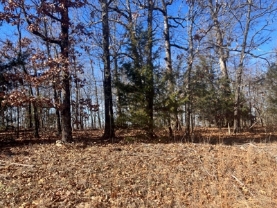 Ozarks Recreational/Hunting Acreage In Sharp County - image 1