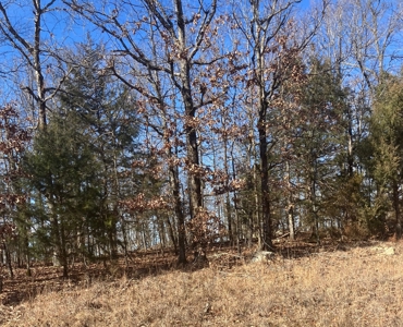 Ozarks Recreational/Hunting Acreage In Sharp County - image 6