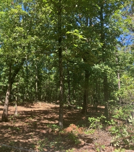 Ozarks Recreational/Hunting Acreage In Sharp County - image 9