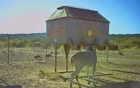 Big Valley Ranch: 400 Acres of Prime Hunting - image 1