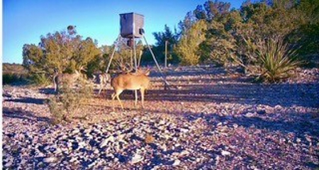 Big Valley Ranch: 400 Acres of Prime Hunting - image 13
