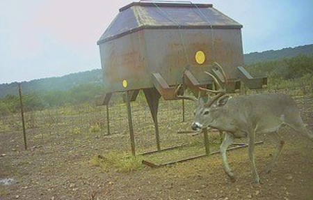 Big Valley Ranch: 400 Acres of Prime Hunting - image 11