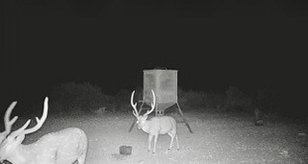 Big Valley Ranch: 400 Acres of Prime Hunting - image 5