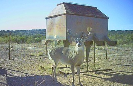 Big Valley Ranch: 400 Acres of Prime Hunting - image 9