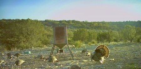 Big Valley Ranch: 400 Acres of Prime Hunting - image 6