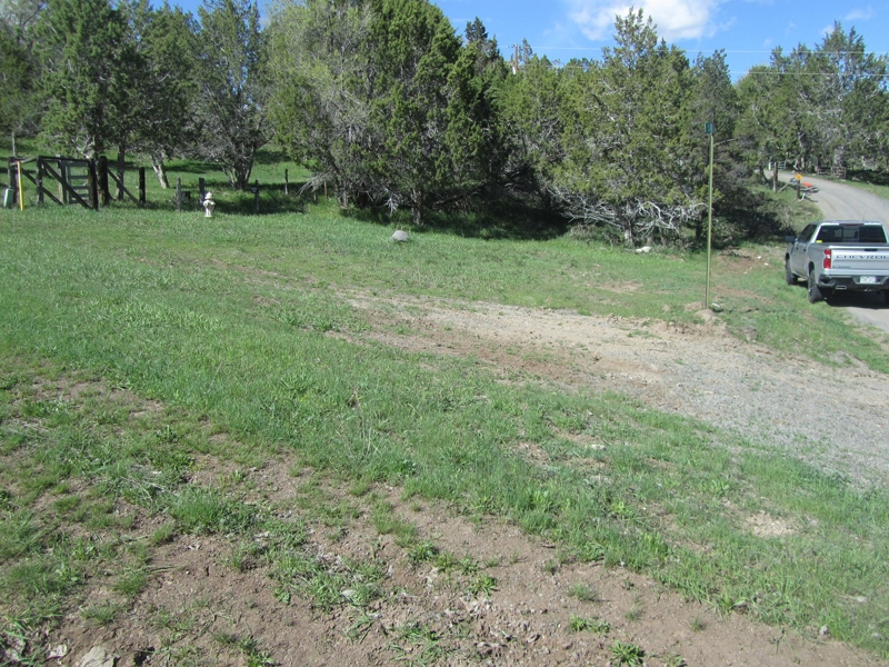 Colorado Vacant Lot For Sale