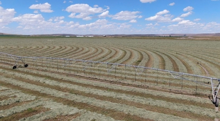 Eastern Oregon Puckett Ranch - image 40