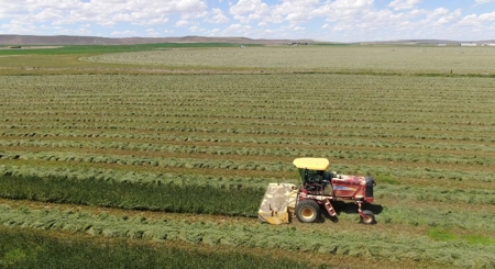 Eastern Oregon Puckett Ranch - image 41