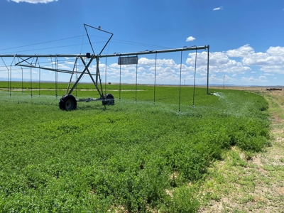 Eastern Oregon Puckett Ranch - image 35