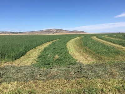 Eastern Oregon Puckett Ranch - image 22