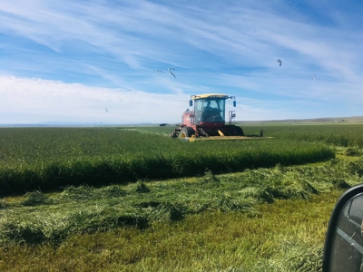 Eastern Oregon Puckett Ranch - image 18
