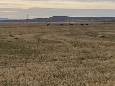 Eastern Oregon Puckett Ranch - image 28