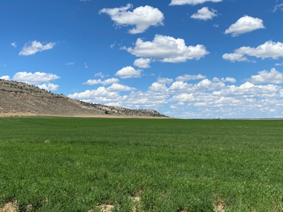 Eastern Oregon Puckett Ranch - image 38