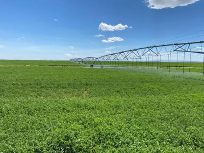 Eastern Oregon Puckett Ranch - image 36