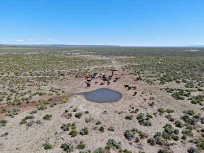 Eastern Oregon Puckett Ranch - image 17