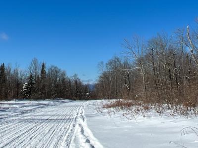 Maine Timberland Lot for Sale - image 19