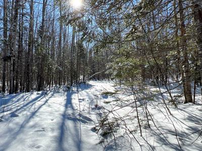 Maine Timberland Lot for Sale - image 13