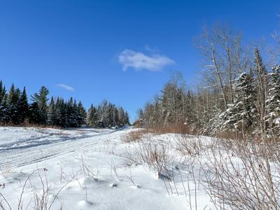 Maine Timberland Lot for Sale - image 20