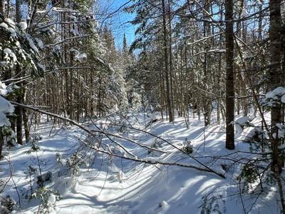 Maine Timberland Lot for Sale - image 14