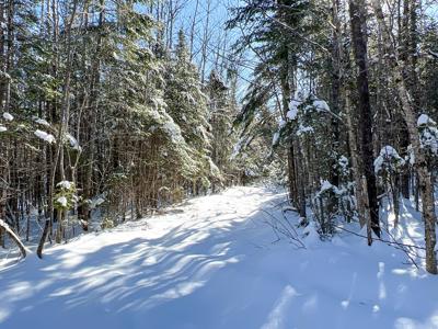 Maine Timberland Lot for Sale - image 15